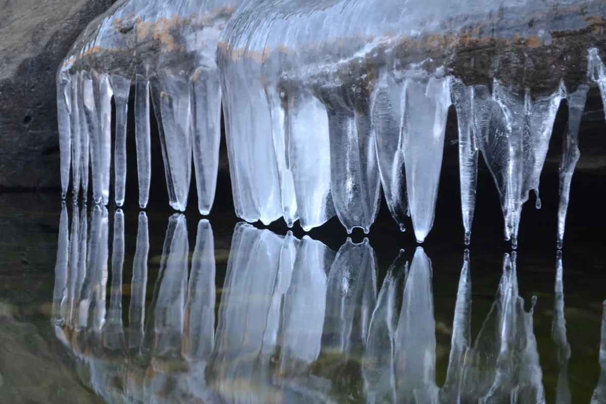 Biting cold
